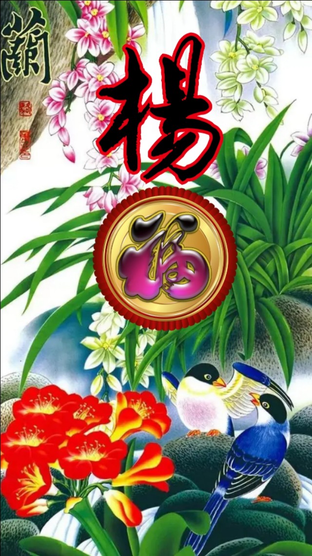 精美兰花壁纸图,兰花高贵壁纸