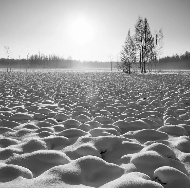 离俄罗斯只有一江之远,离黑龙江很近的俄罗斯城市