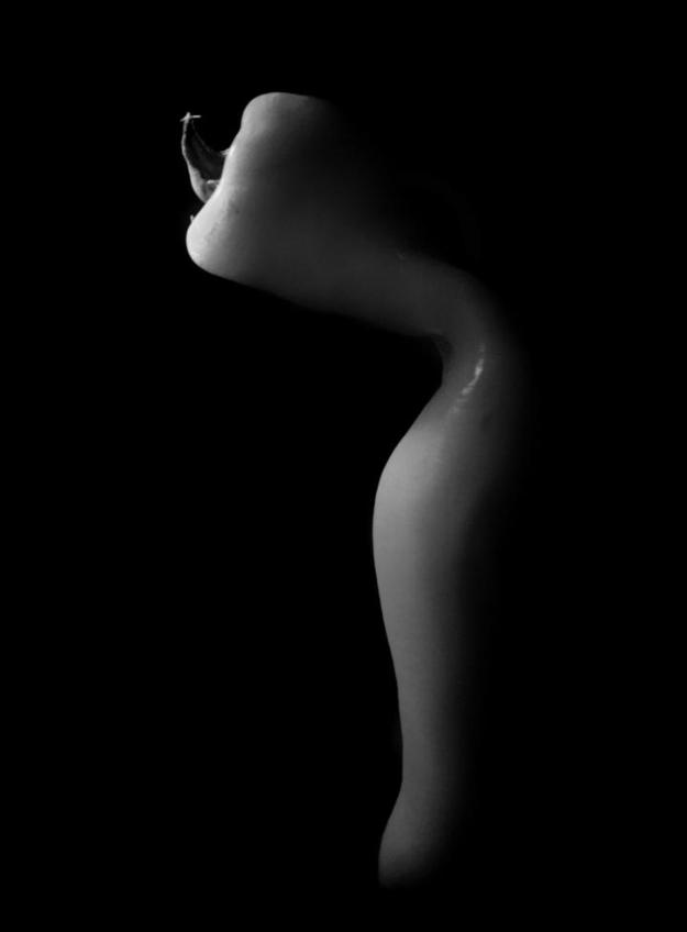 明暗关系对比强烈的绘画,绘画明暗关系教程