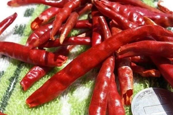 各种干辣椒品种哪种香,各种干辣椒品种和特点
