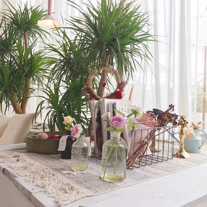 二厂院内美食,咸阳二厂美食城美食推荐