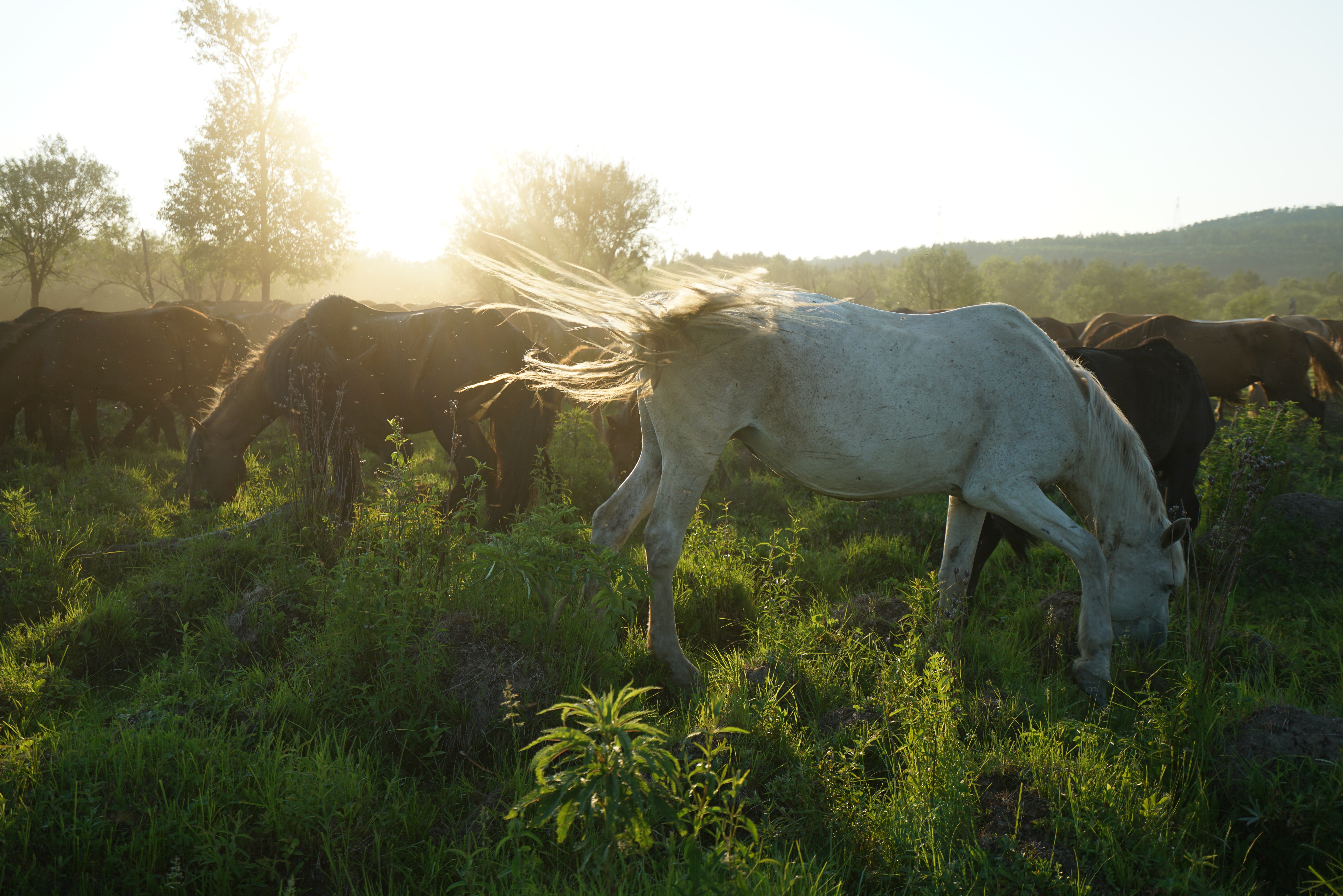 海南国家级5a景区名单大全,国家级5a风景区排行