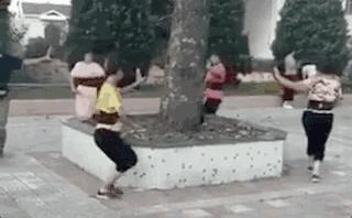 养猫包包,养猫保健药