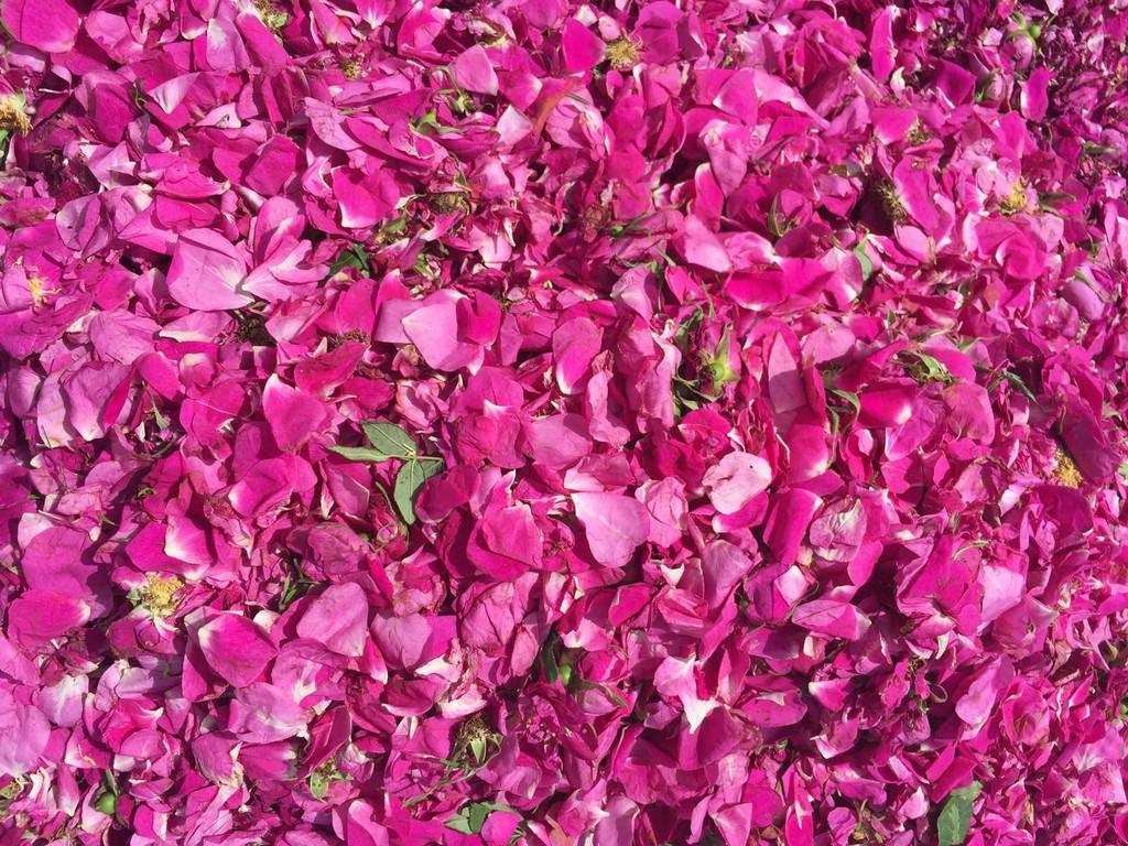 老北京的味儿在哪里,老北京的味道