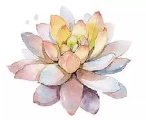 可爱到飞起的小熊鞋,超好看的小熊鞋