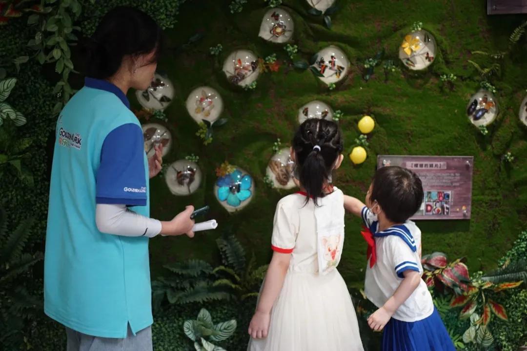 占地30000㎡！这艘建在安华汇天台上的巨船，竟是亲子乐园