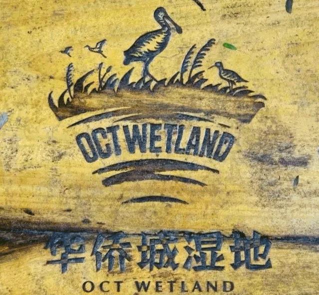 深圳遛娃50个必去的主题公园,深圳遛娃必去景点免费全部列表