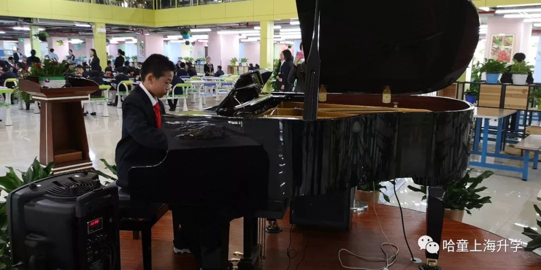 十二年一贯制，升学上牛校！这所老牌民办学校竟有野生鸟类观测园