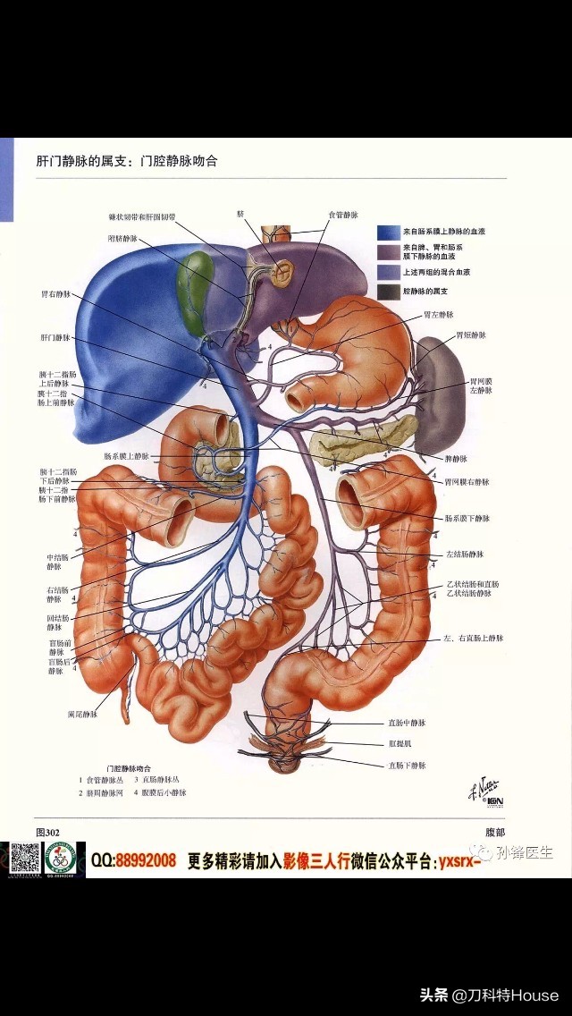 美国进口便秘新药,便秘治疗剂都有哪些产品