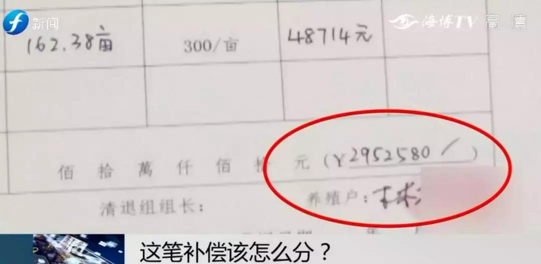 闹心|眼看快收成了,却遇上了麻烦事!这笔清退补偿究竟该怎么分?
