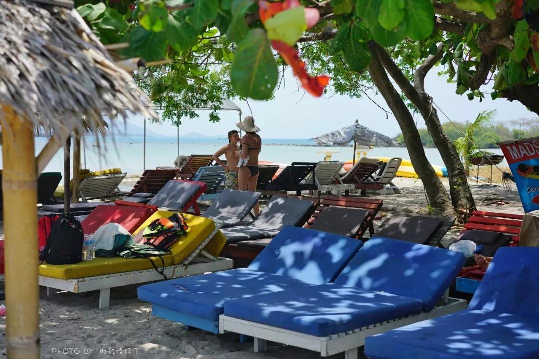 美国艺术家老夫妇定居苏梅岛十年，教游客画垃圾桶，唤醒环保意识