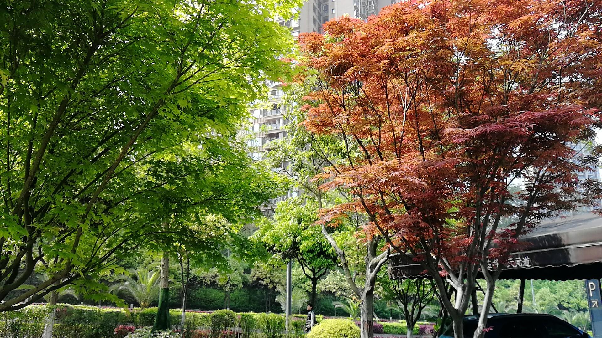 大渡口好还是巴南好,巴南和大渡口选哪个