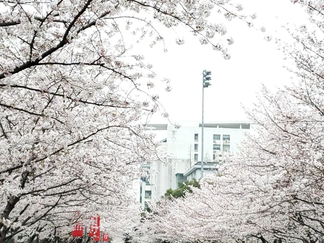 想去AA的第1643天，我调头去香港了