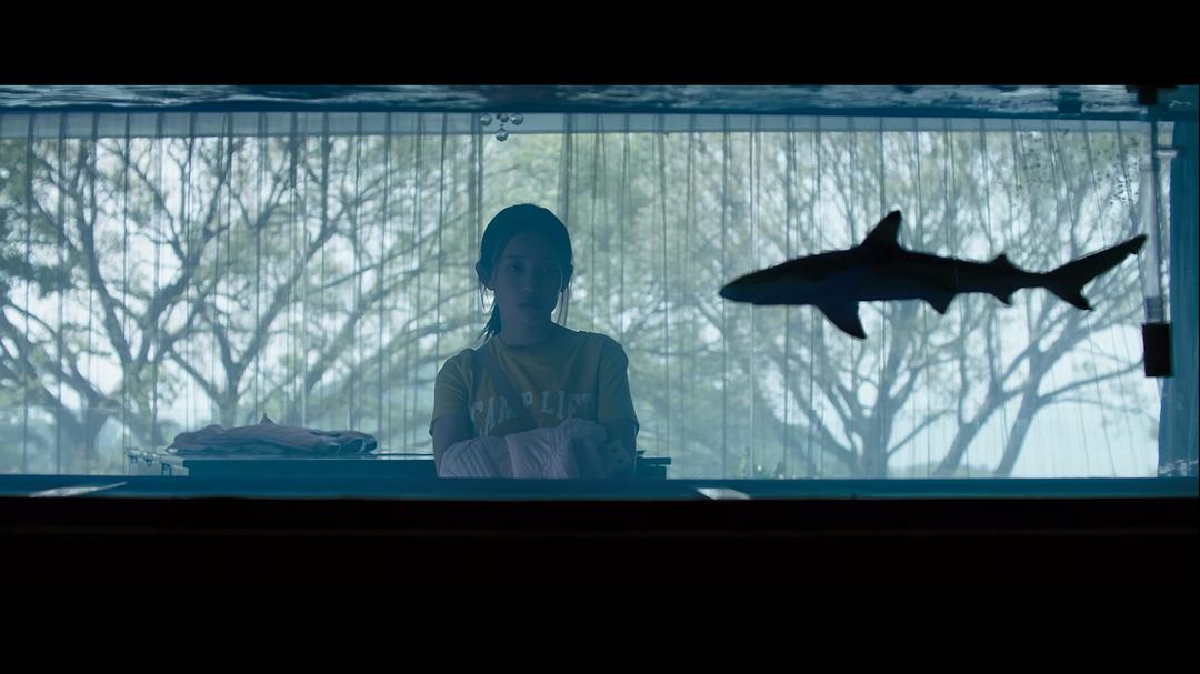 女孩为了一张机票为闺蜜相亲,女孩为了一张机票替富家女相亲