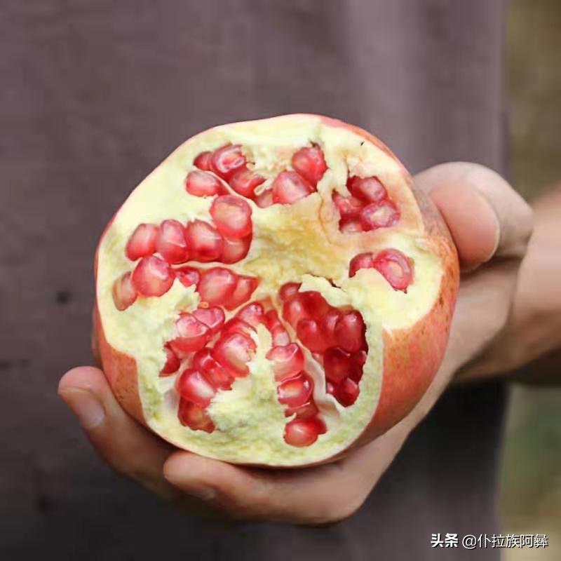 蒙自石榴衍生特产是什么品种,蒙自石榴是什么品种