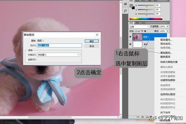 ps基础教程新手入门怎样复制图层,ps里面如何拷贝一个新图层