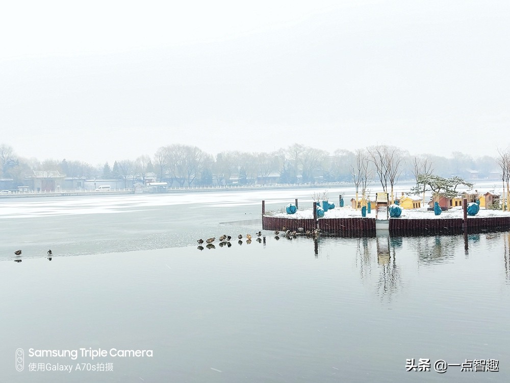 三星a70与a70s拍照对比,三星galaxya70拍照效果