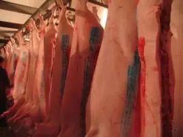 现杀鱼怎么做才好吃,怎样杀鱼才又好又快