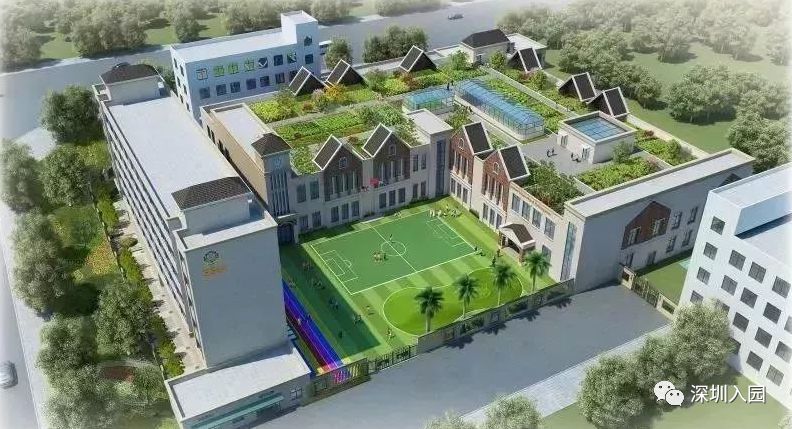 深圳双语幼儿园哪所比较好,深圳公立幼儿园学位充足