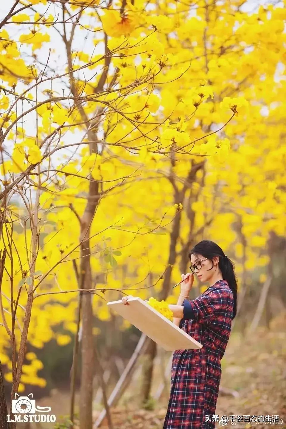 广西低调小城竟然藏了个小奈良,广西有座低调的养老小城