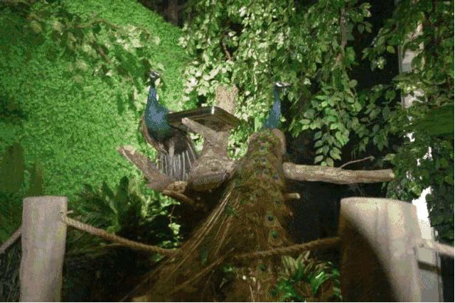 一文在手逛节不愁,活力啤酒节最强攻略来袭