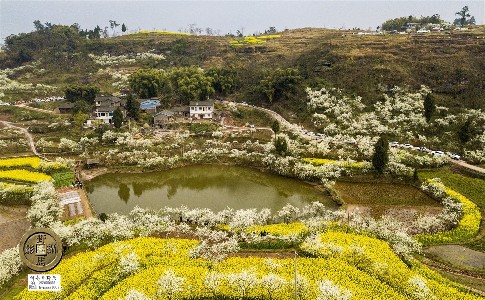 广安撤县名单查询,70年广安县有多少个人民公社