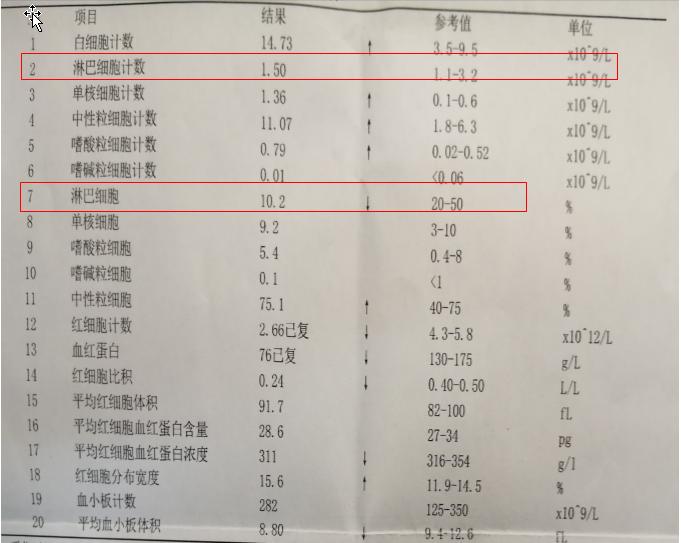 不会看血常规化验单一张图让你懂,陈医生可以看报告单么