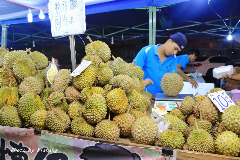 玩转沙巴海钓攻略,沙巴亚庇一日自由活动推荐