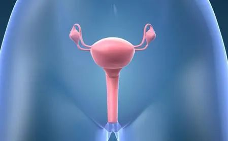 没有子宫的女人的特征,没有子宫的女人和正常人有何不同