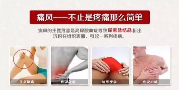 葵花盘小分子肽对痛风有效吗,小分子肽可以治疗痛风吗