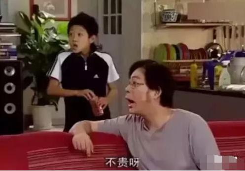 家有儿女刘星小雨长大合照,家有儿女小雨和小雪是亲姐弟吗