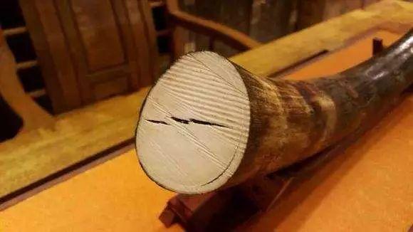 战斗民族俄罗斯人真的很能战斗吗,俄罗斯挖猛犸象牙