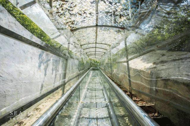 短、平、快、爆！那些蹿红网络的景区二消业态大汇总