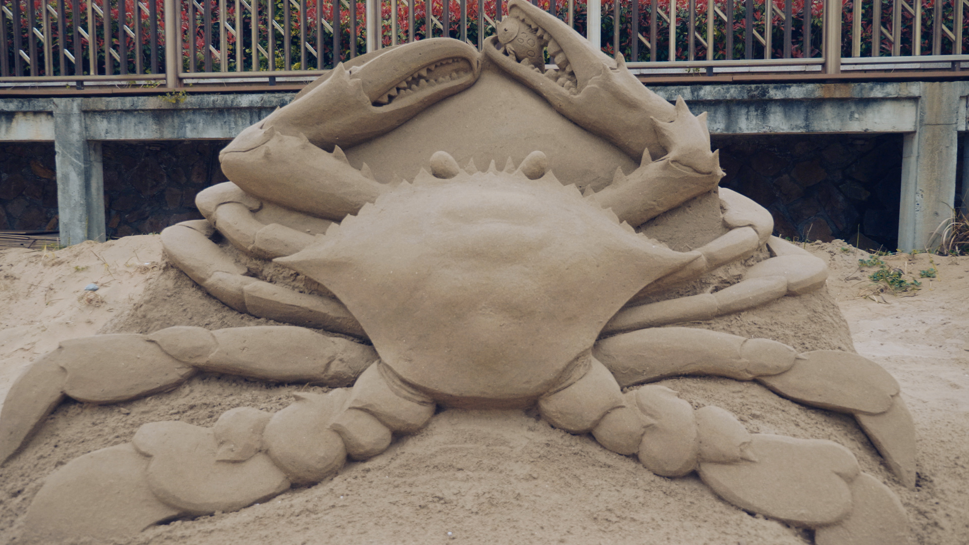 浙江嵊泗列岛三日游,嵊泗四日游旅游攻略