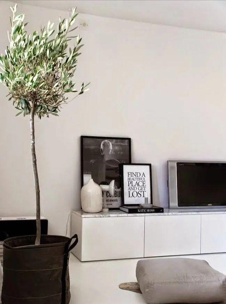 绿植养护植物死了怎么办,绿植为什么在家里养就死了