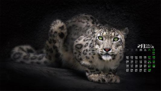 ps教程从入门到精通ps,ps抠图教学ps零基础入门