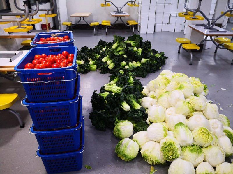 展现出基层干部强大的战斗力,基层干部办事有韧性的例子