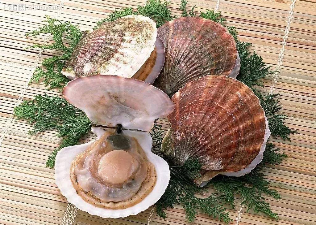 有一种炫富叫青岛开海,有一种炫富叫青岛开海了