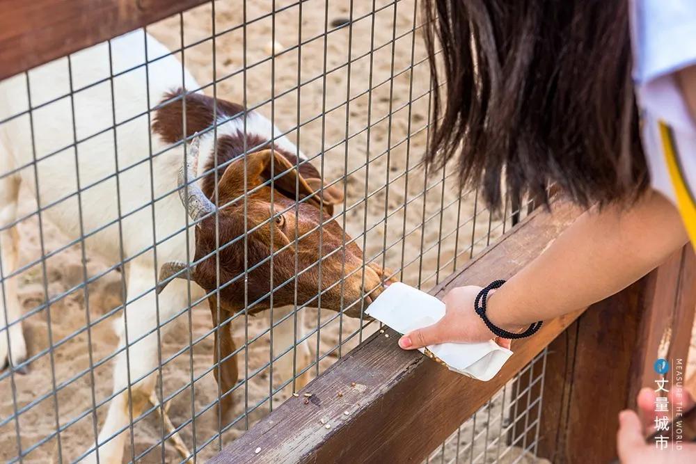 北京周边人少景美的地方祥云小镇,北京顺义中粮祥云小镇