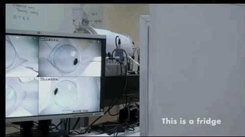 诺贝尔搞笑奖中国获奖原视频,诺贝尔搞笑奖六位中国得主