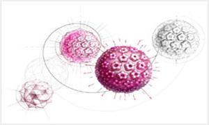 HPV阳性还可以打疫苗吗,hpv阳性还能打hpv疫苗