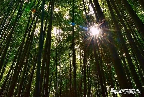 好消息！西安旅游景区向全国医务工作者全年免费开放！包括兵马俑、华清宫、大雁塔、西安城墙等5*级A**景区……