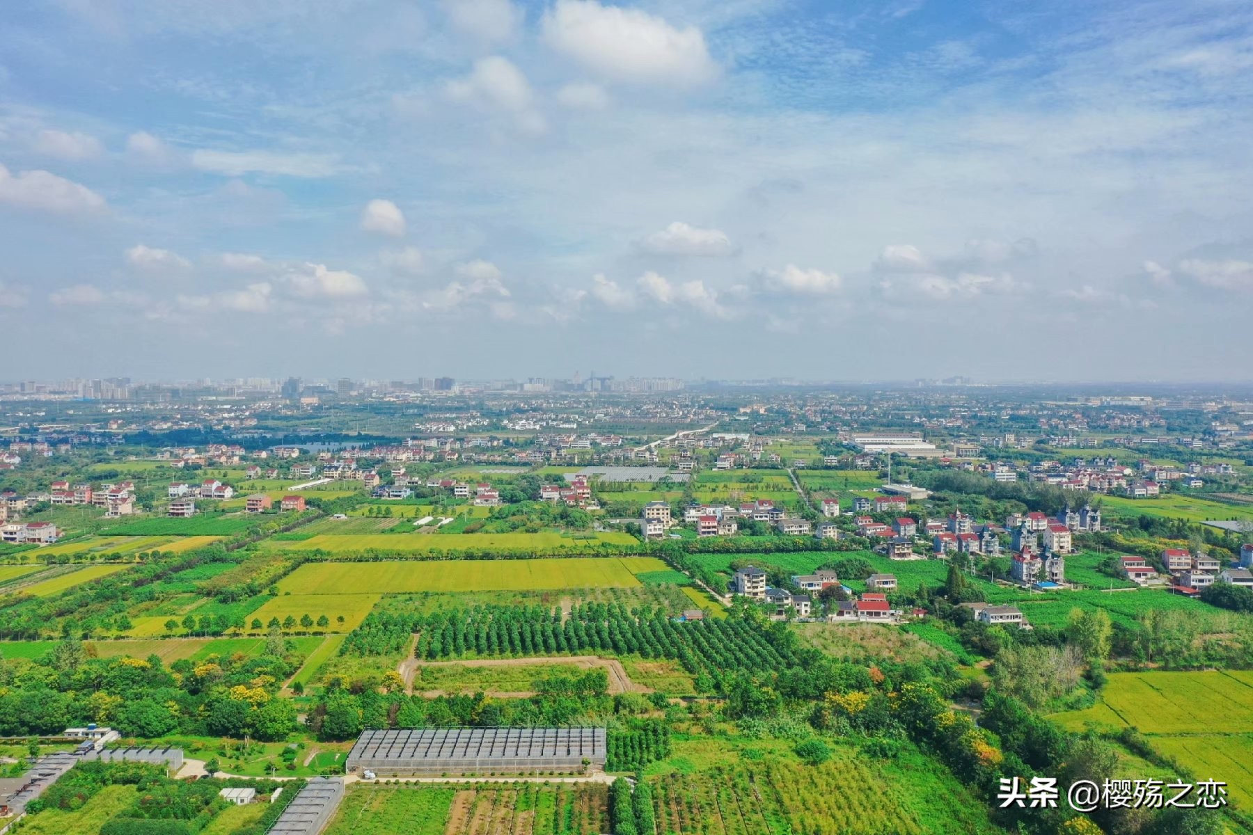 浙江文化底蕴最为深厚的城市,浙江一共多少个省级历史文化名镇