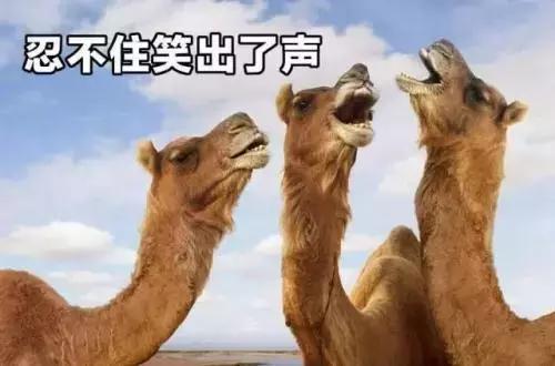 十大适合单身的专业,单身率高的十大行业