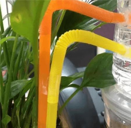 自制养花自动浇水神器教程,自制浇花喂水神器两根管
