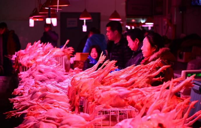 燕窝真的一点用都没有吗,燕窝到底有没有用