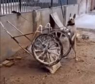 开心一刻休闲娱乐,运动一下开心一刻