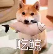 厦门免费房屋改造,厦门旧屋改造出租屋