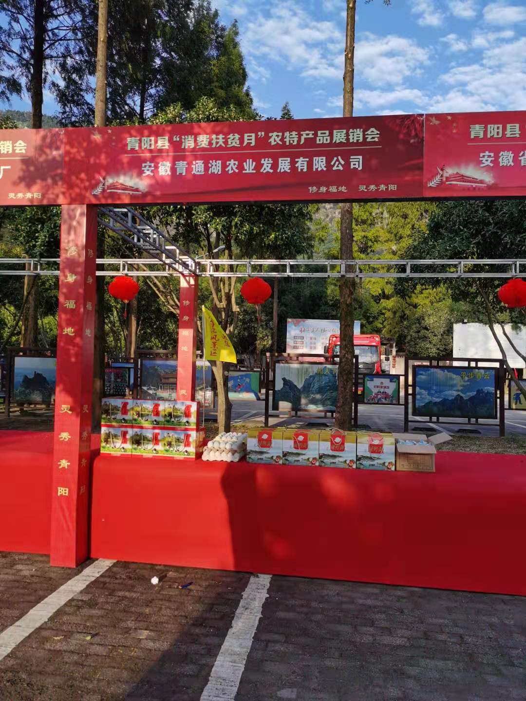 激发消费活力助力乡村振兴,推进乡村振兴展现担当作为