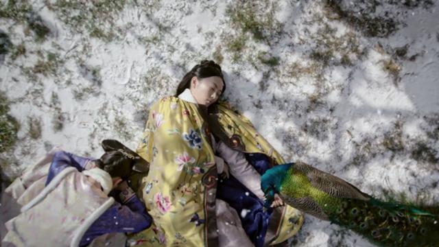 如懿传甄嬛传智商排行,如懿传情商排名